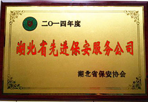 2014年先進(jìn)保安服務(wù)公司